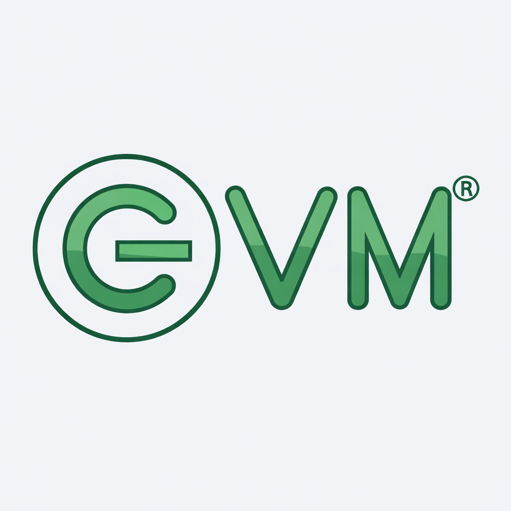 EVM SSD NVMe M.2 SATA Internal Solid State Drive