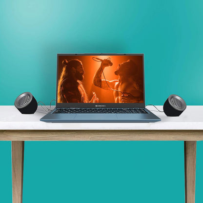 Zebronics Zeb-Pluto speaker connected to laptop USB and AUX ports